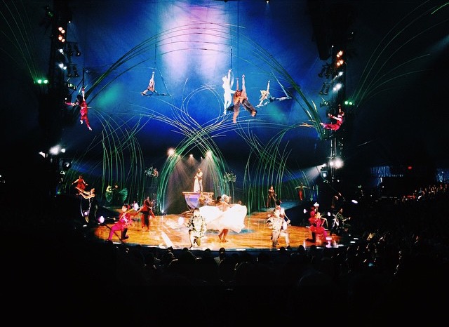 Cirque de Soleil Presents Their Newest Production Amaluna