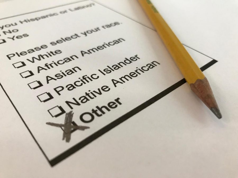 A+student+completes+the+race+portion+of+a+typical+college+application.+Affirmative+action+in+college+admissions+gives+certain+racially+or+financially+disparaged+students+a+leg+up+in+the+admissions+process.+However%2C+sorting+children+into+%E2%80%9Cracial+bins%E2%80%9D+proved+to+be+more+problematic+than+helpful.++Photo+by+Lara+Russell-Lasalandra