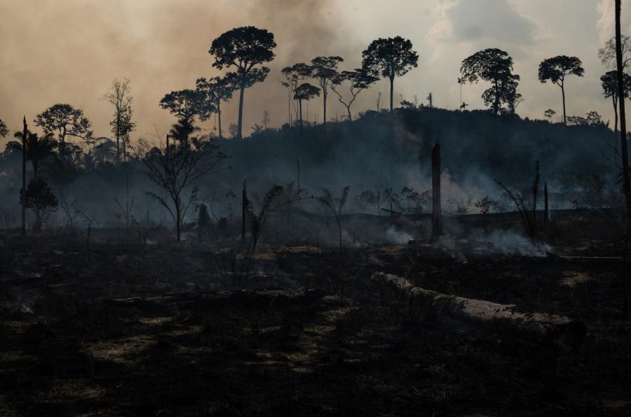 Members of the IBAMA forest fire brigade (named Prevfogo) fight burning in the Amazon area of rural settlement PDS Nova Fronteira, in the city of Novo Progresso, Para state, northern Brazil, onTuesday, Sept. 3, 2019. (Gustavo Basso/NurPhoto/Zuma Press/TNS)

HFA WEB LN NO MAGAZINE SALES * France Rights OUT *