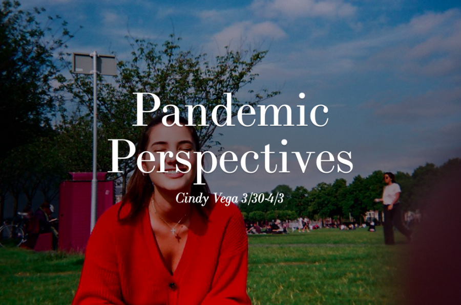 Pandemic Perspectives: Part 1