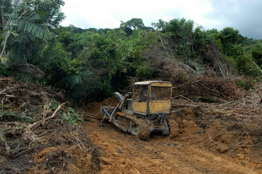 A bulldozer takes down jungle outside SantarŽm, where U.S. agribusiness giant Cargill has opened a $20 million Amazon River terminal. A Knight Ridder reporter and photographer were ordered off this farm by a man who said he did business with Cargill and did not want to discuss deforestation issues.