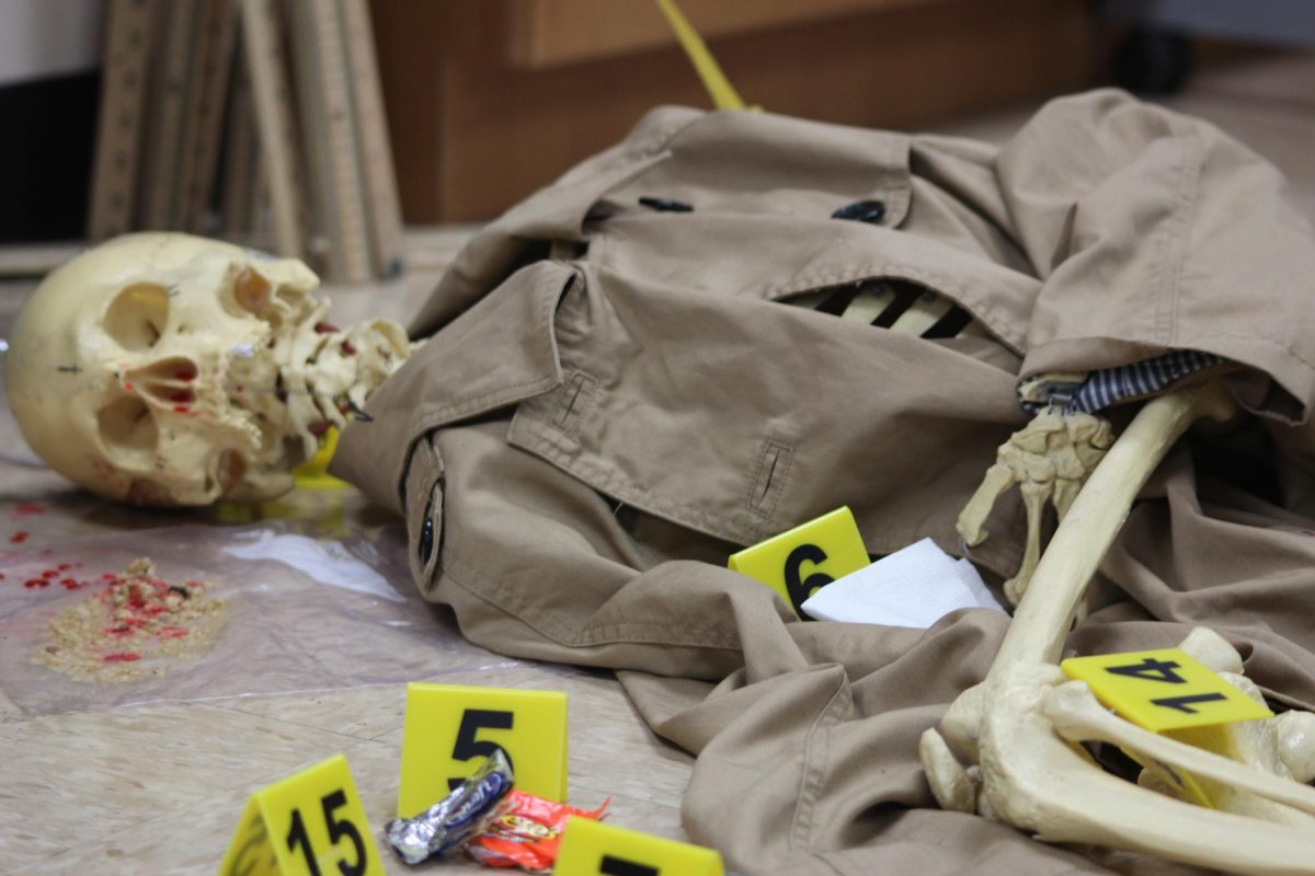 Students in Ms. Yoly McCarthys biomedical science classes entered a crime scene on Sept. 5. The scene was part of a long-term assignment where students had to use their investigative skills and research to determine the cause of death of the victim, Ana Garcia.  