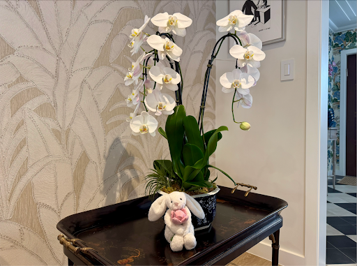 Two perfect gifts for your valentine: a floral arrangement and a Jellycat. These can be purchased online and in person. It is guaranteed that these will make your Valentine’s Day a little more special.
